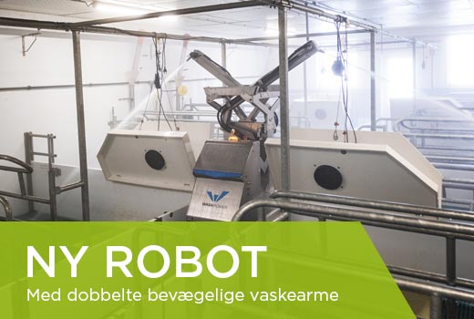 Vaskerobot til komplekse grisestalde fulde af forhindringer